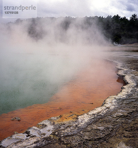 Dampf  der aus den Thermalquellen des Champagne Pools aufsteigt  Waiotapu  in der Nähe von Rotorua auf der Nordinsel Neuseelands