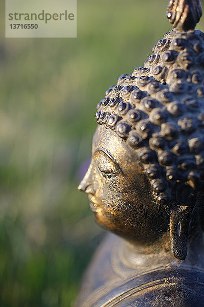 Thai-Buddha
