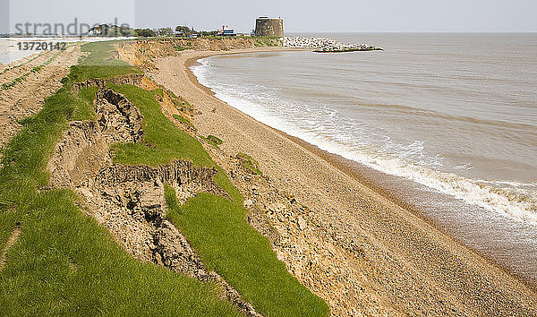 Schnelle Küstenerosion der bröckelnden weichen Klippen bei East Lane  Bawdsey  Suffolk  England