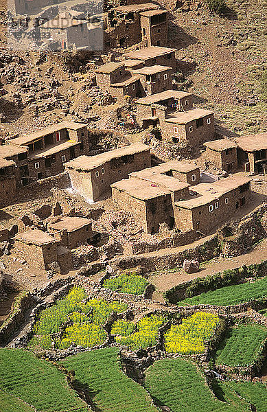 Dorfansicht von einem Hügel hoch oben  Region Marrakesch  Hoher Atlas  Marokko