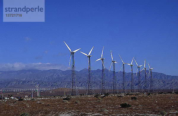 Windkraftanlagen in Palm Springs  Kalifornien  USA