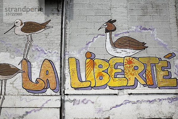 Detail eines Graffiti in der Stadt Lille mit der Aufschrift la liberte  Freiheit auf Französisch.