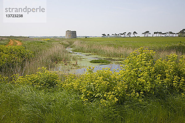 Martello-Turm steht auf einem Feld in Alderton  Suffolk  England