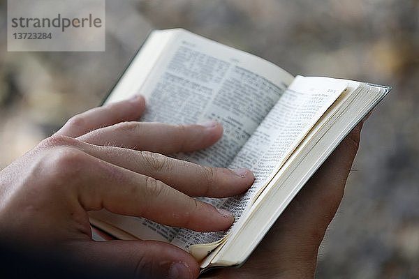 Pilgerreise ins Heilige Land  Bibellesen.