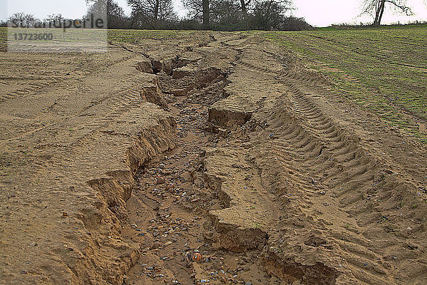 Bodenerosion in sandigem Boden durch Abfluss auf einem bergab gepflügten Feld  Butley  Suffolk  England