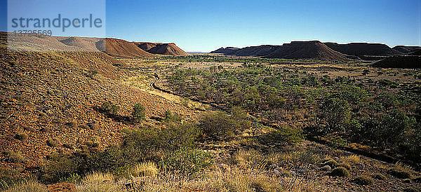 Kaningarra  Breaden Hills Aborigine-Land Great Sandy Desert  Westaustralien