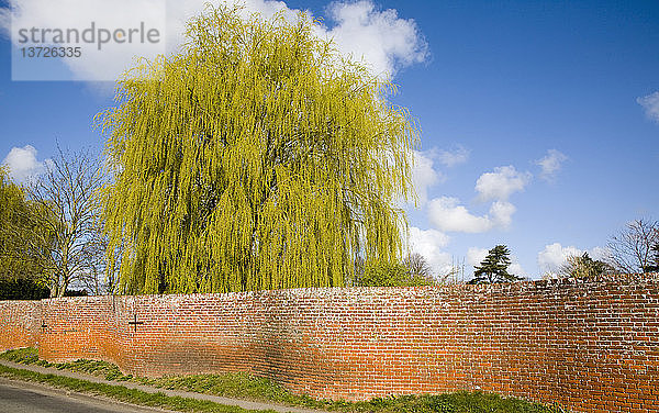 Rotes Ziegelsteinmauerwerk in Easton  Suffolk  England  in Form einer Serpentine