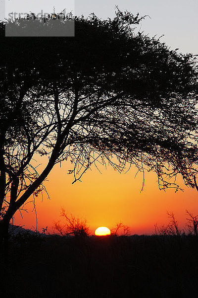 Sonnenuntergang in Südafrika