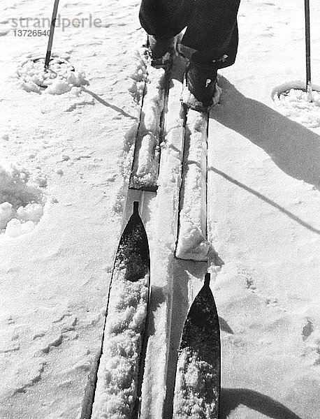 Vereinigte Staaten: um 1930 Eine Nahaufnahme der Skier von zwei Langläufern  die in der gleichen Spur fahren.
