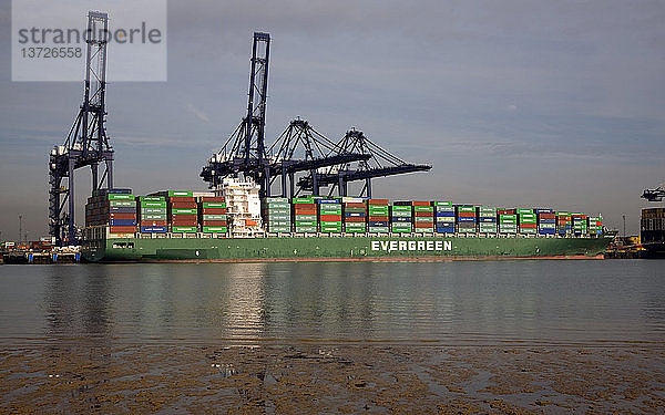 Containerschiff und Kräne im Hafen von Felistowe  von der anderen Seite des Flusses Orwell bei Shotley  Suffolk  England aus gesehen