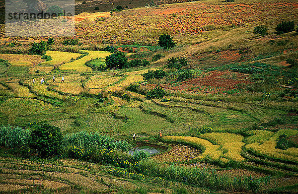 Die Landschaft von Ambalavao im Süden Madagaskars