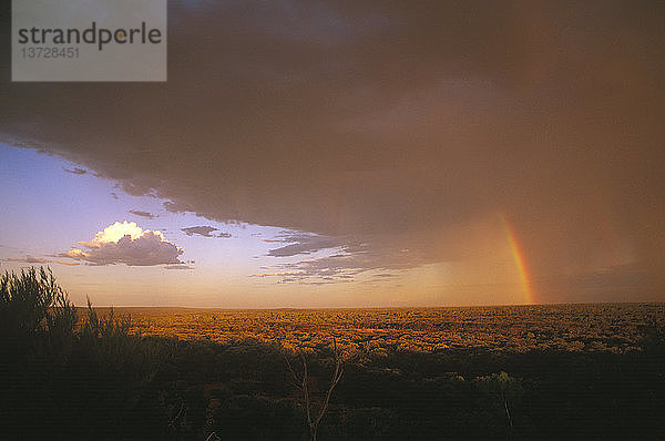 Gewitter über halbtrockenen Ebenen mit trockenen Wäldern  mit Regenbogen  der sich durch die Wolke erstreckt  Regen nach Staubsturm  Welford (Barcoo) National Park  südwestliches Queensland  Australien
