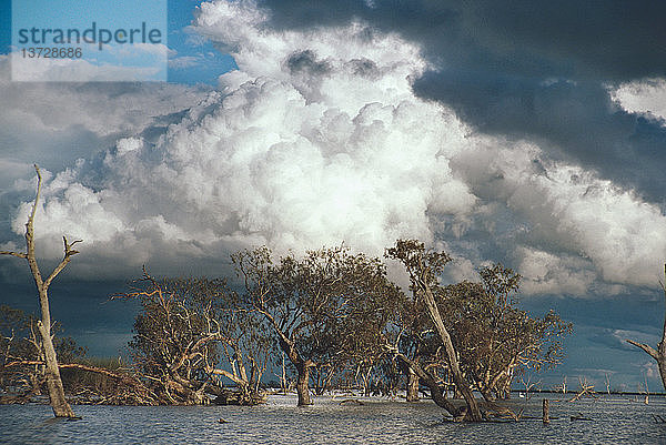 Gewitter über dem Cowalsee im westlichen New South Wales  Australien