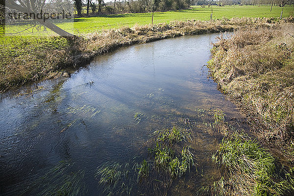 Mäanderkurve am Fluss Alde  Blaxhall  Suffolk  England