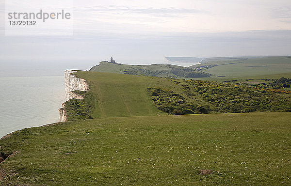Hügelige Kreidelandschaft in Richtung des Leuchtturms Belle Tout  Beachy Head  Ost-Sussex  England
