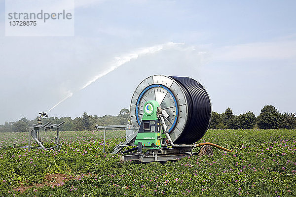 Wasserbewässerung beim Besprühen eines Kartoffelfeldes  Sutton  Suffolk  England