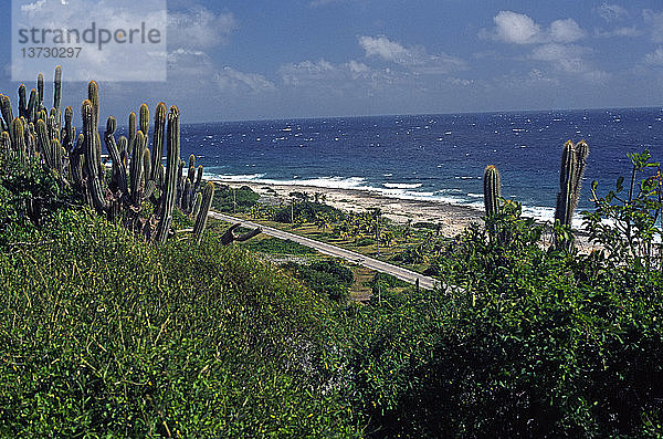 Südküste vom Bluff Cayman Brac  Kaimaninseln  Britische Westindische Inseln