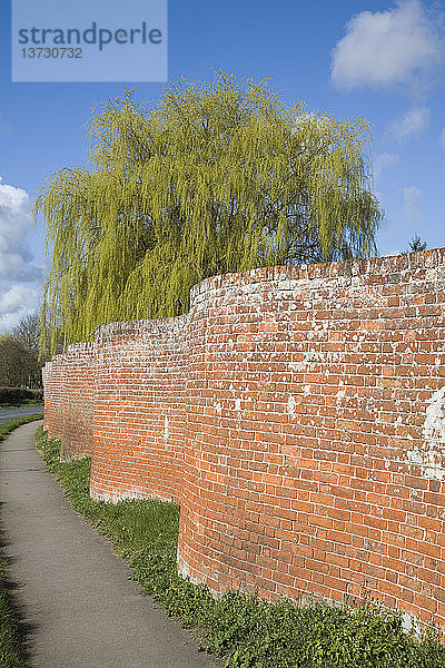 Rotes Ziegelsteinmauerwerk in Easton  Suffolk  England  in Form einer Serpentine