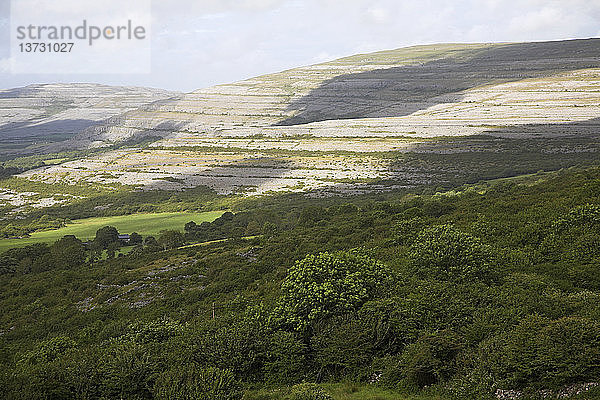 Blick auf den felsigen Steilhang des kohlensäurehaltigen Kalkstein-Hochgebirgsgebiets des Burren in der Nähe von Ballyvaughan  Grafschaft Clare  Irland