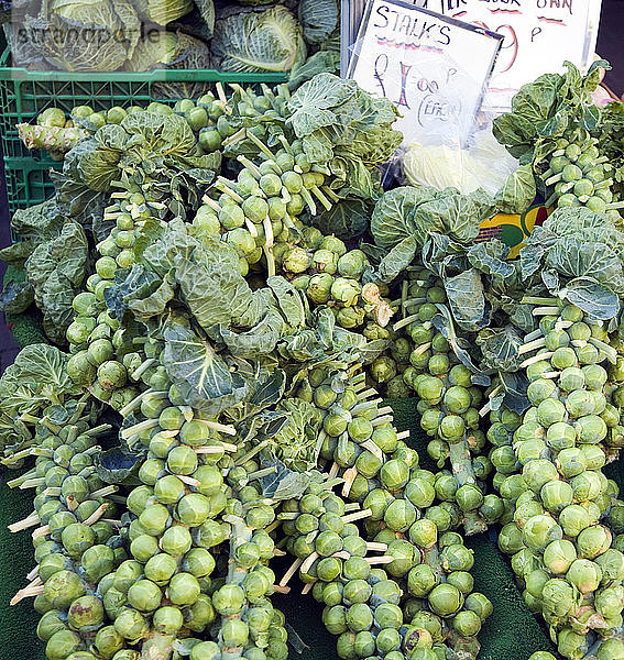 Stängel Rosenkohl auf Verkauf Marktstand preislich ?100