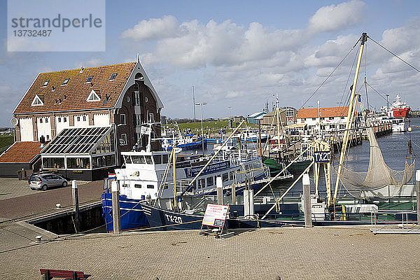 Hafen von Oudeschild  Texel  Niederlande