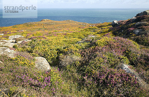 Blick auf das Meer vom Carn Llidi tor  St David´s Head  Pembrokeshire  Wales