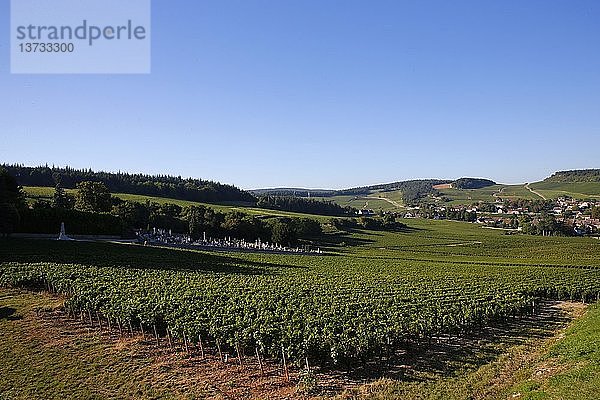 Mercurey verfügt über 650 ha Weinberge und ist die wichtigste Weinbaugemeinde im Burgund.