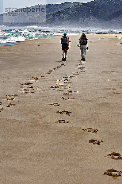 Wanderer am Strand in der Nähe von Apollo Bay  Great Ocean Road  Victoria  Australien