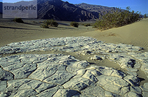 Wüstenumgebung Getrockneter Schlamm eines ehemaligen Seebetts  Death Valley National Park  Kalifornien  USA
