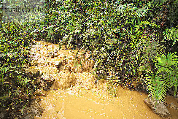 Der Ok Tedi River wurde zu einem Abfluss für Minenabfälle degradiert. Der Fluss führt die schlammigen Abfälle der Gold- und Kupfermine Ok Tedi in den Fly River  wo sie das Wasserleben und die Menschen beeinträchtigen  die an einem der größten Flüsse der Welt leben  OK Tedi Mine  Western