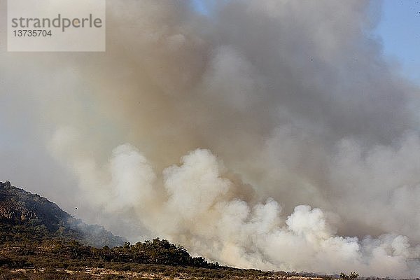 Madikwe-Wildreservat Feuer  Südafrika.