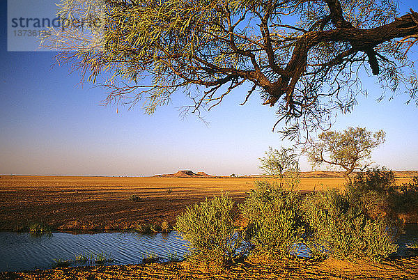 Maynes Bore Abfluss und Maynes Peak im Hintergrund  Diamantina National Park  Central West Queensland  Australien