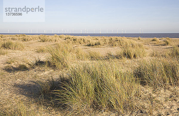 Offshore-Windpark Scroby Sands  Great Yarmouth  Norfolk  England