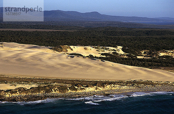 Sanddünen in der Nähe von Gabo Island Croajingolong National Park  East Gippsland  Victoria  Australien