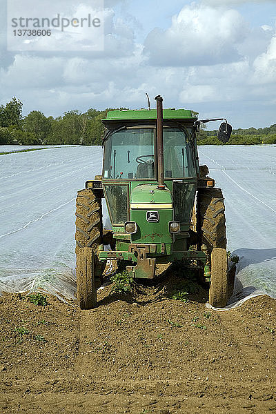 Grüner Traktor  geparkt am Ende eines mit Schutzvlies abgedeckten Feldes  Bawdsey  Suffolk  England