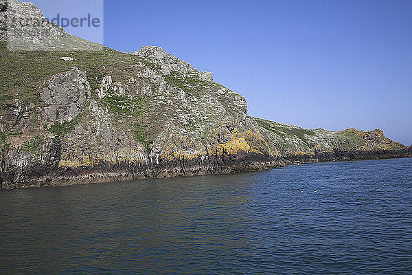 Insel Skomer  Pembrokeshire  Wales