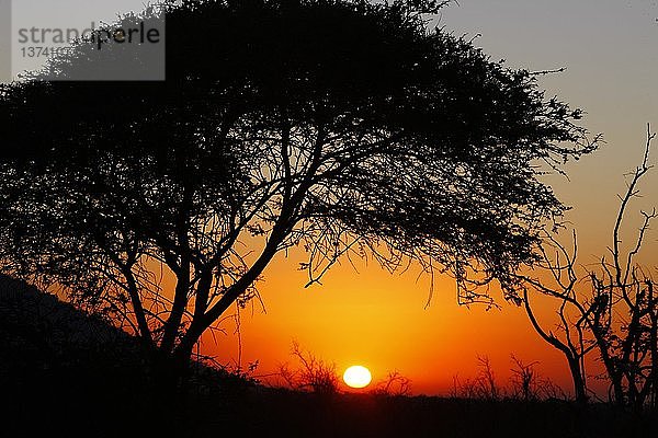 Sonnenuntergang in Südafrika  Südafrika.