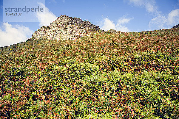 Carn Llidi tor  St David´s Head  Pembrokeshire  Wales