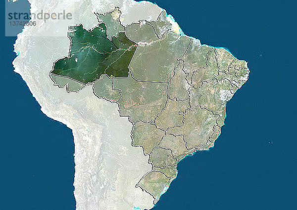 Satellitenbild von Brasilien  das den Bundesstaat Amazonas zeigt. Dieses Bild wurde aus Daten zusammengestellt  die von den Satelliten LANDSAT 5 und 7 erfasst wurden.