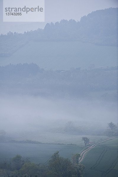 Neblige Landschaft bei VZzelay  Frankreich.