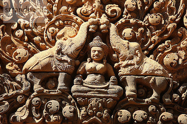 Banteay Srei-Tempel in Angkor in Kambodscha. Lakshmi  hinduistische Göttin des Reichtums und Ehefrau des Gottes Vishnu  wird von zwei Elefanten mit heiligem Wasser besprengt