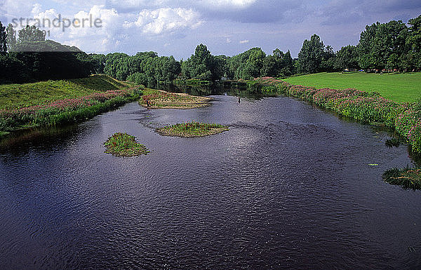 Mann beim Angeln am Fluss Tees  in der Nähe von Darlington  Grafschaft Durham  England