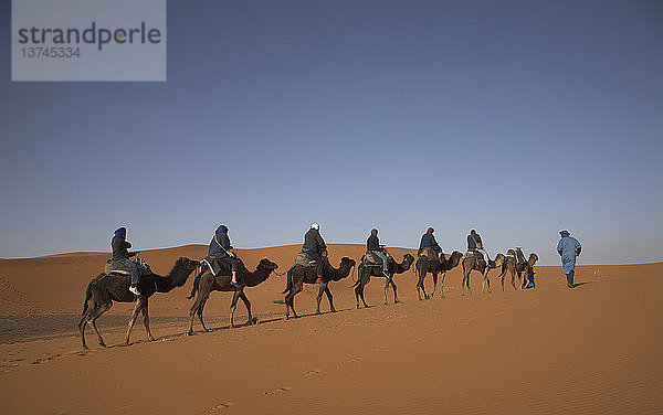 Kameltrekking durch die Sanddünen von Merzouga  Marokko