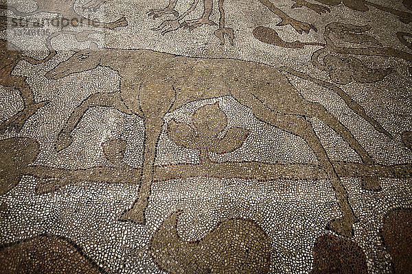 Mosaik auf dem Boden des Doms von Otranto  Wolf