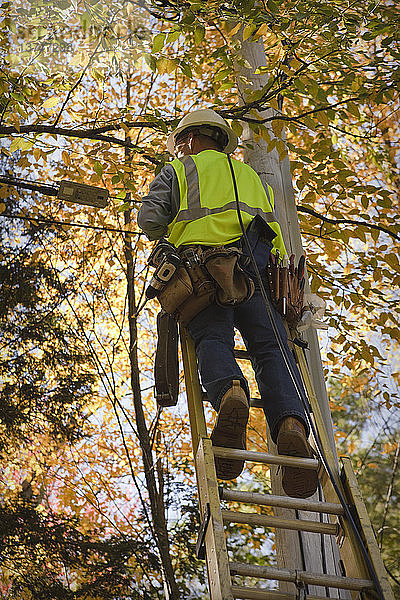 Ingenieur bei der Installation von Geräten an einem Strommast