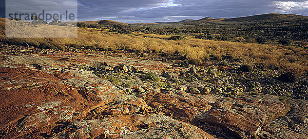 Landschaft der Gawler Ranges Gawler Ranges National Park  Südaustralien