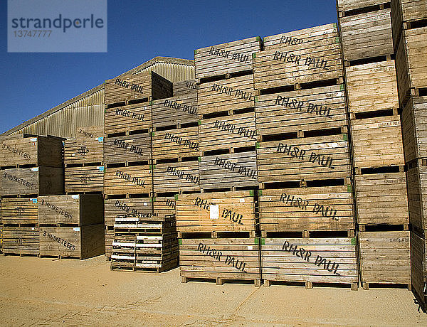 Große Holzkisten  die für Saatkartoffeln verwendet werden  gestapelt auf einem Bauernhof  Shottisham  Suffolk  England