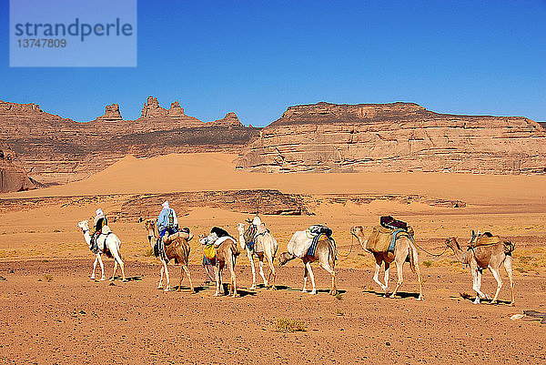 Tuareg-Karawane