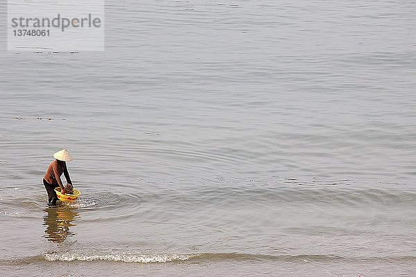 Frau wäscht Krabben am Strand von Mui Ne  Vietnam