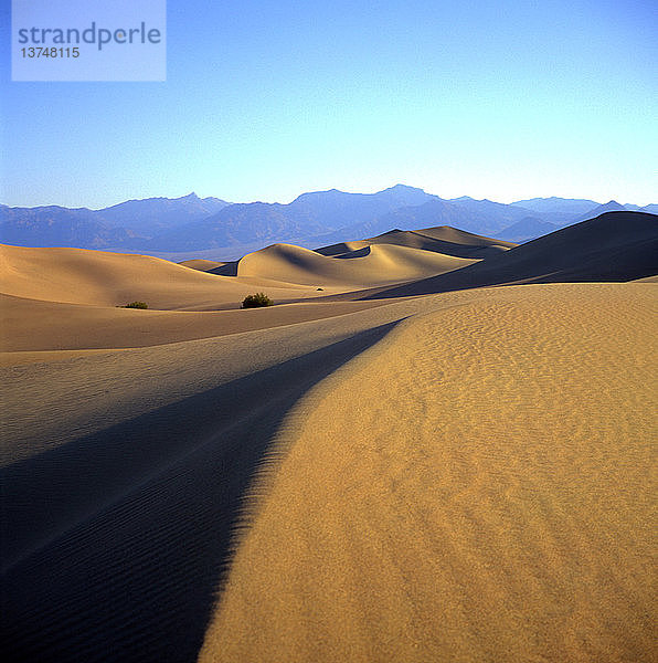 Wüstenumgebung  Sanddünen  Stovepipe Wells  Death Valley national park  Kalifornien  USA